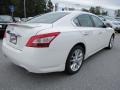 Winter Frost White - Maxima 3.5 SV Photo No. 5
