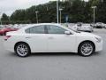 Winter Frost White - Maxima 3.5 SV Photo No. 6