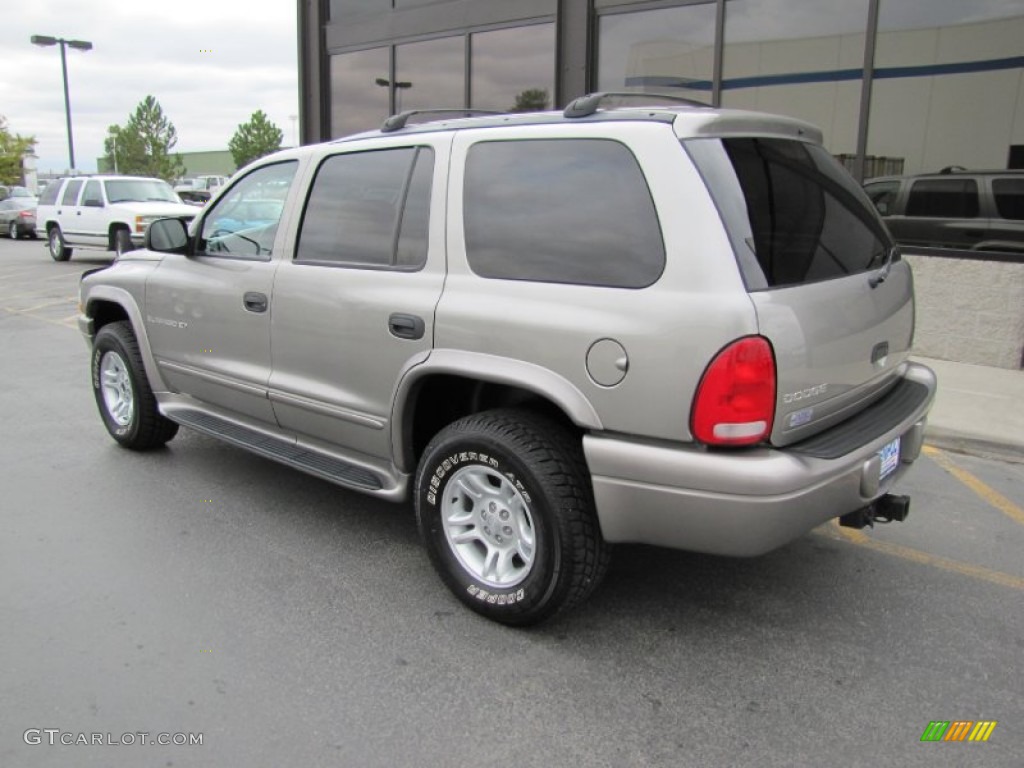 2001 Durango SLT 4x4 - Light Pewter Metallic / Dark Slate Gray photo #33