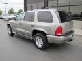 Light Pewter Metallic - Durango SLT 4x4 Photo No. 33