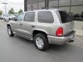 2001 Light Pewter Metallic Dodge Durango SLT 4x4  photo #33