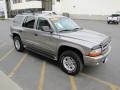 Light Pewter Metallic - Durango SLT 4x4 Photo No. 34