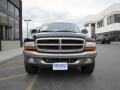 Light Pewter Metallic - Durango SLT 4x4 Photo No. 36