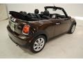 Hot Chocolate - Cooper Convertible Photo No. 5