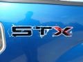 2009 Blue Flame Metallic Ford F150 STX Regular Cab  photo #20