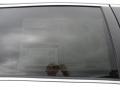 Blizzard Pearl White - Venza I4 Photo No. 35