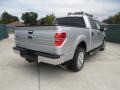 2011 Ingot Silver Metallic Ford F150 Texas Edition SuperCrew  photo #3