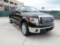 Ebony Black - F150 Texas Edition SuperCrew Photo No. 1