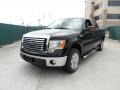 2011 Ebony Black Ford F150 Texas Edition SuperCrew  photo #7