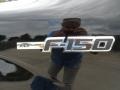 2011 Ebony Black Ford F150 Texas Edition SuperCrew  photo #13