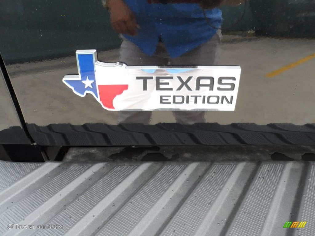 2011 F150 Texas Edition SuperCrew - Ebony Black / Steel Gray photo #18