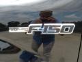 2011 Ebony Black Ford F150 Texas Edition SuperCrew  photo #13