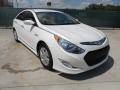 Porcelain White Pearl - Sonata Hybrid Photo No. 1