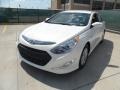 Porcelain White Pearl - Sonata Hybrid Photo No. 7