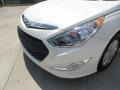 Porcelain White Pearl - Sonata Hybrid Photo No. 10