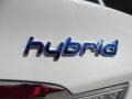 Porcelain White Pearl - Sonata Hybrid Photo No. 19