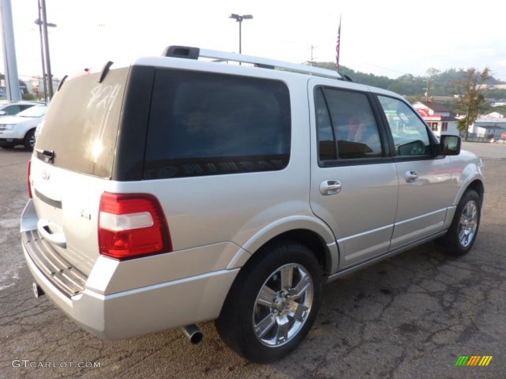 Ingot Silver Metallic 2010 Ford Expedition Limited 4x4 Exterior Photo #54381364