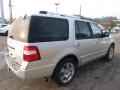 Ingot Silver Metallic 2010 Ford Expedition Limited 4x4 Exterior