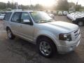 Ingot Silver Metallic 2010 Ford Expedition Limited 4x4 Exterior