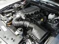 4.6 Liter SOHC 24-Valve VVT V8 Engine for 2008 Ford Mustang GT Premium Coupe #54382156