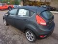 2011 Monterey Grey Metallic Ford Fiesta SES Hatchback  photo #2