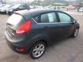 2011 Monterey Grey Metallic Ford Fiesta SES Hatchback  photo #4