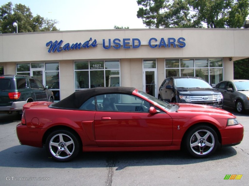2004 Redfire Metallic Ford Mustang Cobra Convertible