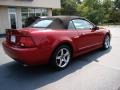 Redfire Metallic - Mustang Cobra Convertible Photo No. 8