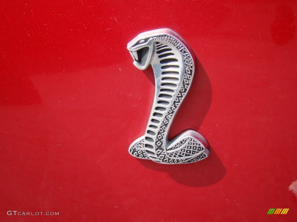 2004 Ford Mustang Cobra Convertible Marks and Logos Photo #54387260