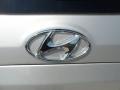2012 Hyundai Santa Fe Limited V6 Marks and Logos