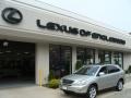 Millennium Silver Metallic - RX 350 AWD Photo No. 1
