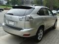 Millennium Silver Metallic - RX 350 AWD Photo No. 4