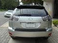 Millennium Silver Metallic - RX 350 AWD Photo No. 5