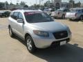 2007 Bright Silver Hyundai Santa Fe GLS  photo #7