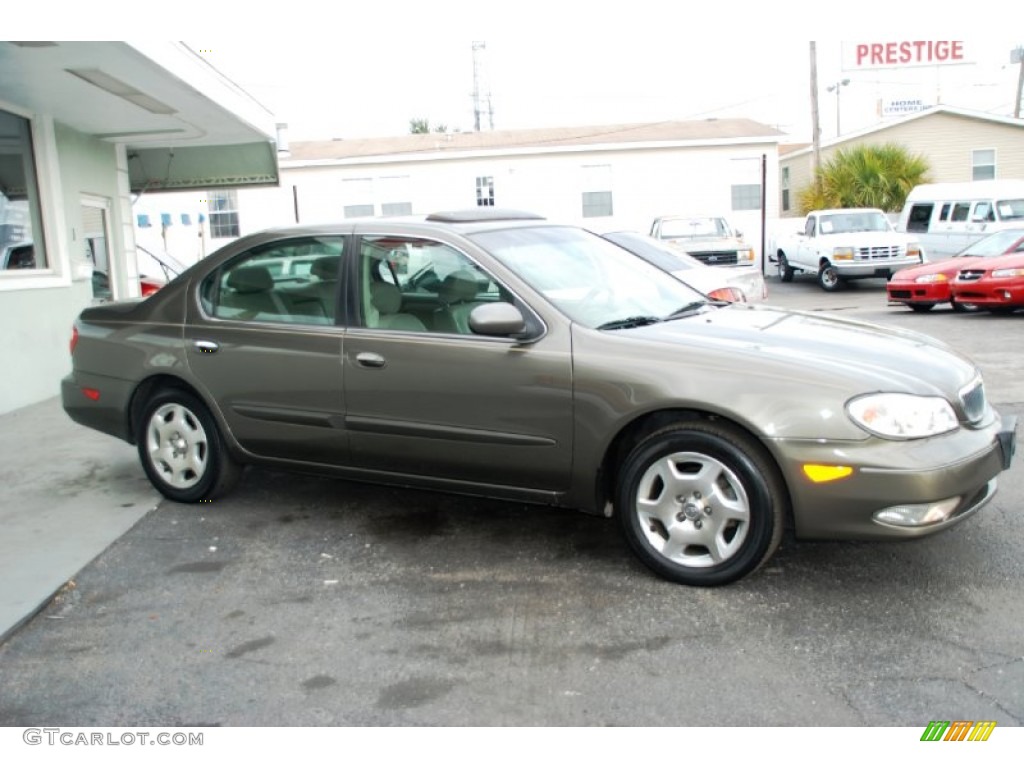 2000 I 30 - Autumn Bronze Pearl / Gray photo #1