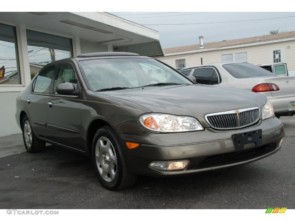 2000 I 30 - Autumn Bronze Pearl / Gray photo #4