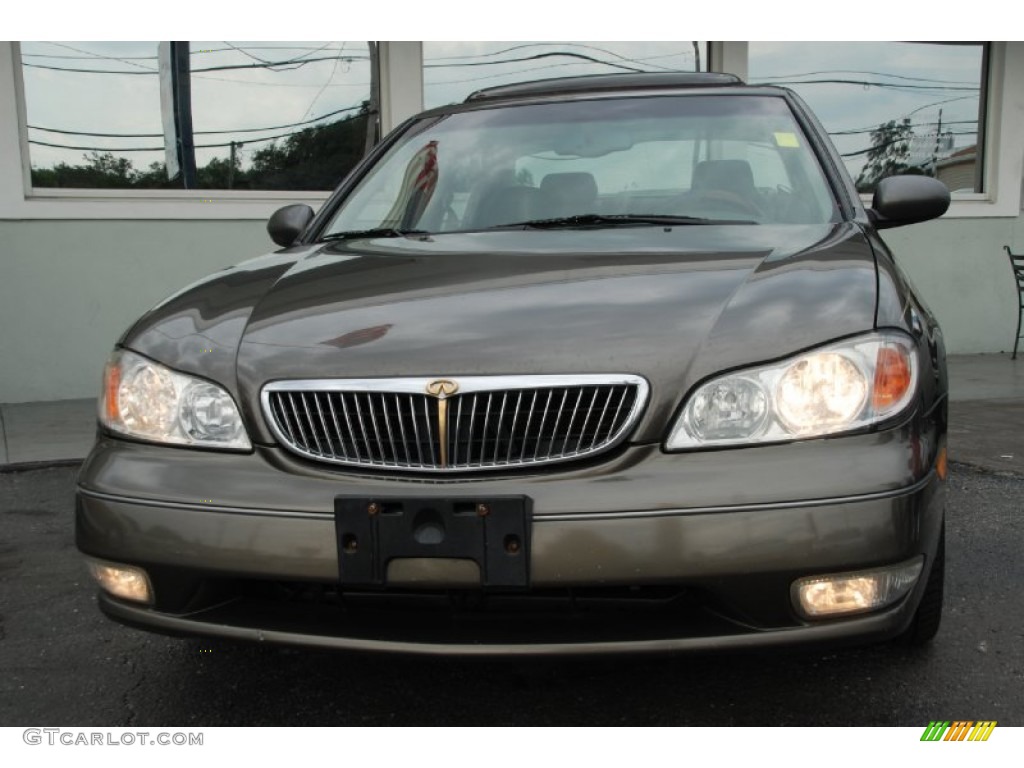 2000 I 30 - Autumn Bronze Pearl / Gray photo #8