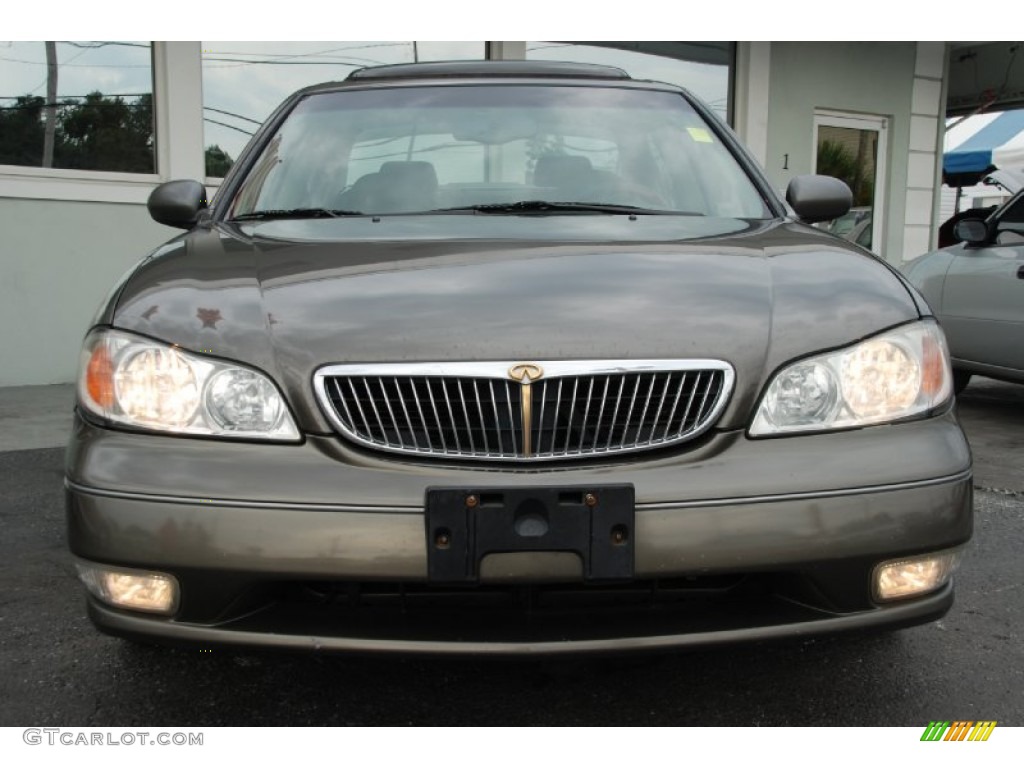 2000 I 30 - Autumn Bronze Pearl / Gray photo #9