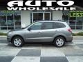 Mineral Gray - Santa Fe GLS AWD Photo No. 1