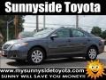 Magnetic Gray Metallic - Camry XLE Photo No. 1