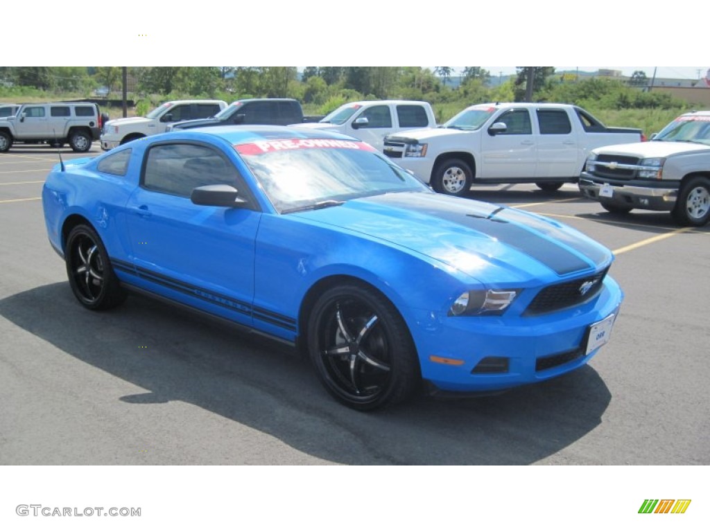 2010 Mustang V6 Premium Coupe - Grabber Blue / Stone photo #7