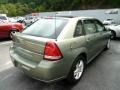 2005 Silver Green Metallic Chevrolet Malibu Maxx LS Wagon  photo #4