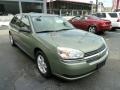 2005 Silver Green Metallic Chevrolet Malibu Maxx LS Wagon  photo #6