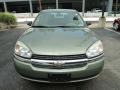 2005 Silver Green Metallic Chevrolet Malibu Maxx LS Wagon  photo #10