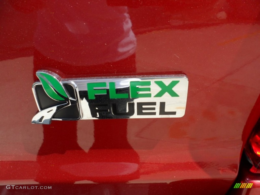 2012 Ford Escape XLT V6 Marks and Logos Photo #54423864
