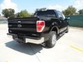 2011 Ebony Black Ford F150 XLT SuperCrew  photo #3