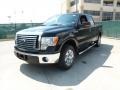 2011 Ebony Black Ford F150 XLT SuperCrew  photo #7