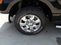 2011 Ebony Black Ford F150 XLT SuperCrew  photo #11