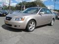 Golden Beige - Sonata GLS V6 Photo No. 1