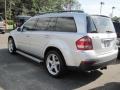 Iridium Silver Metallic - GL 450 Photo No. 2